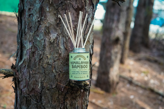 Himalayan Bamboo | Aloe + Cantaloupe 5oz Reed Diffuser