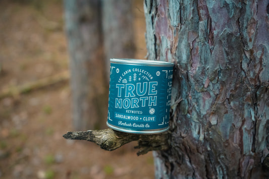True North | Sandalwood + Clove 8oz Soy Candle
