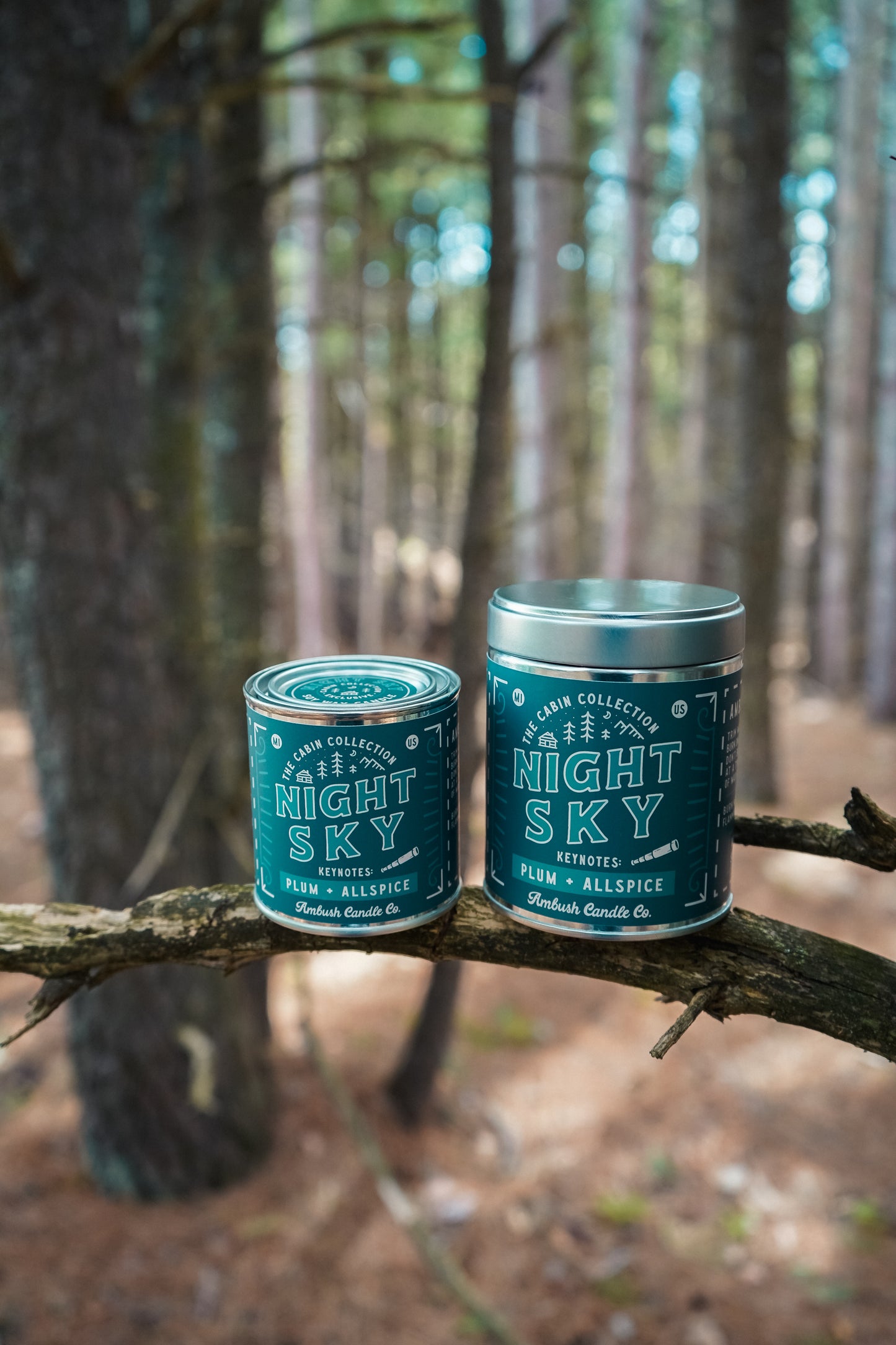 Night Sky | Plum + Allspice 8oz Soy Candle