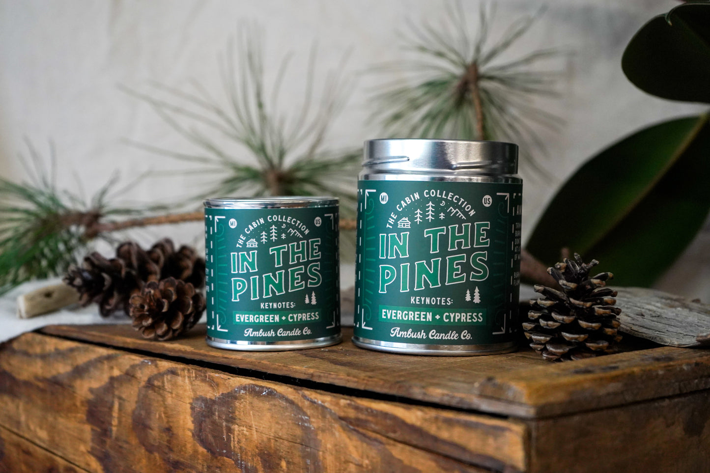 In The Pines | Evergreen + Cypress 14oz Soy Candle
