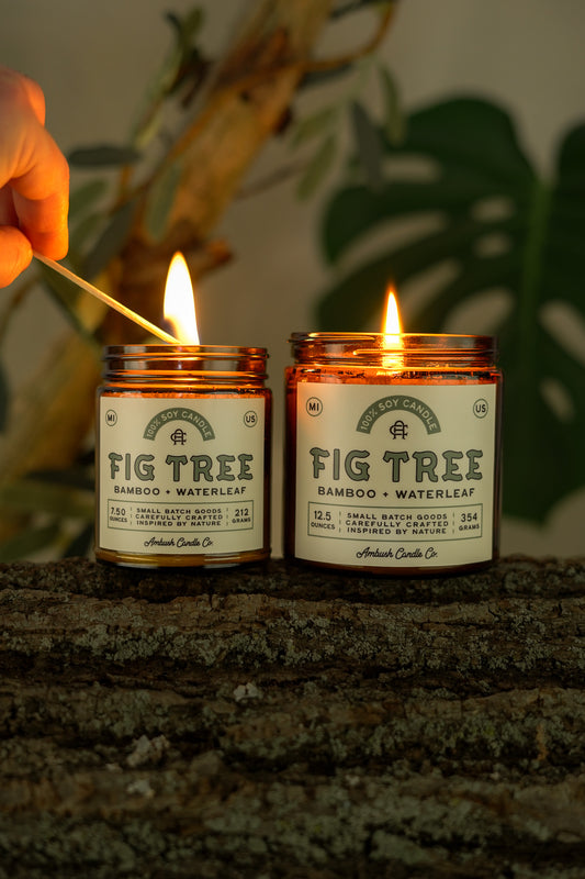 Fig Tree | Bamboo + Waterleaf Soy Candle