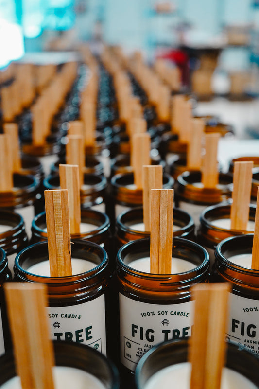Fig Tree | Jasmine + Bamboo 8oz Soy Candle