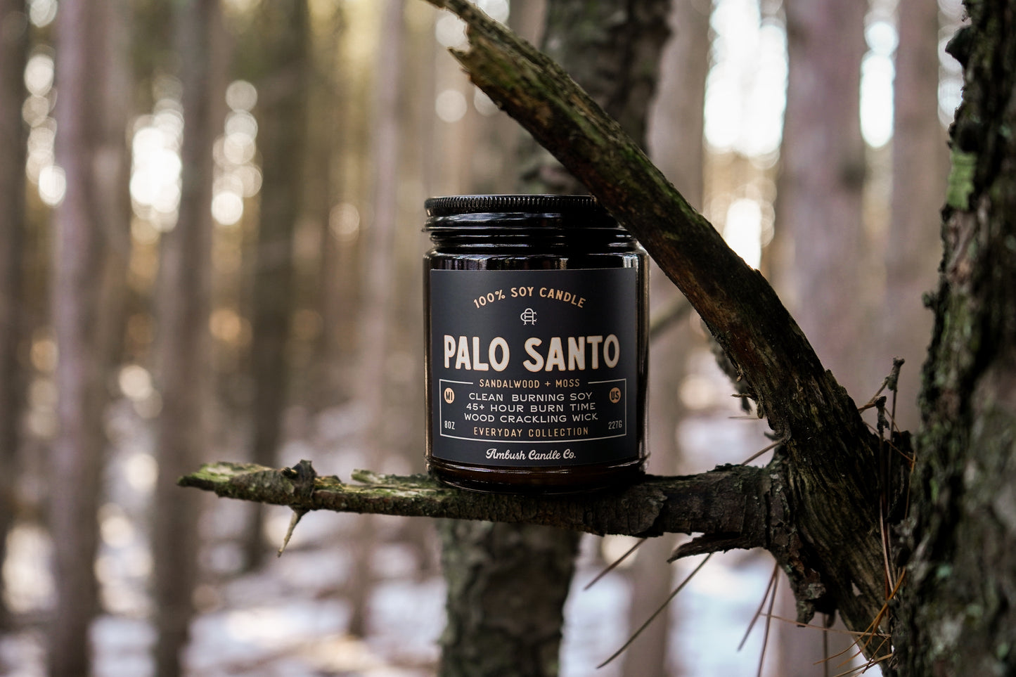 Palo Santo | Sandalwood + Moss 8oz Soy Candle