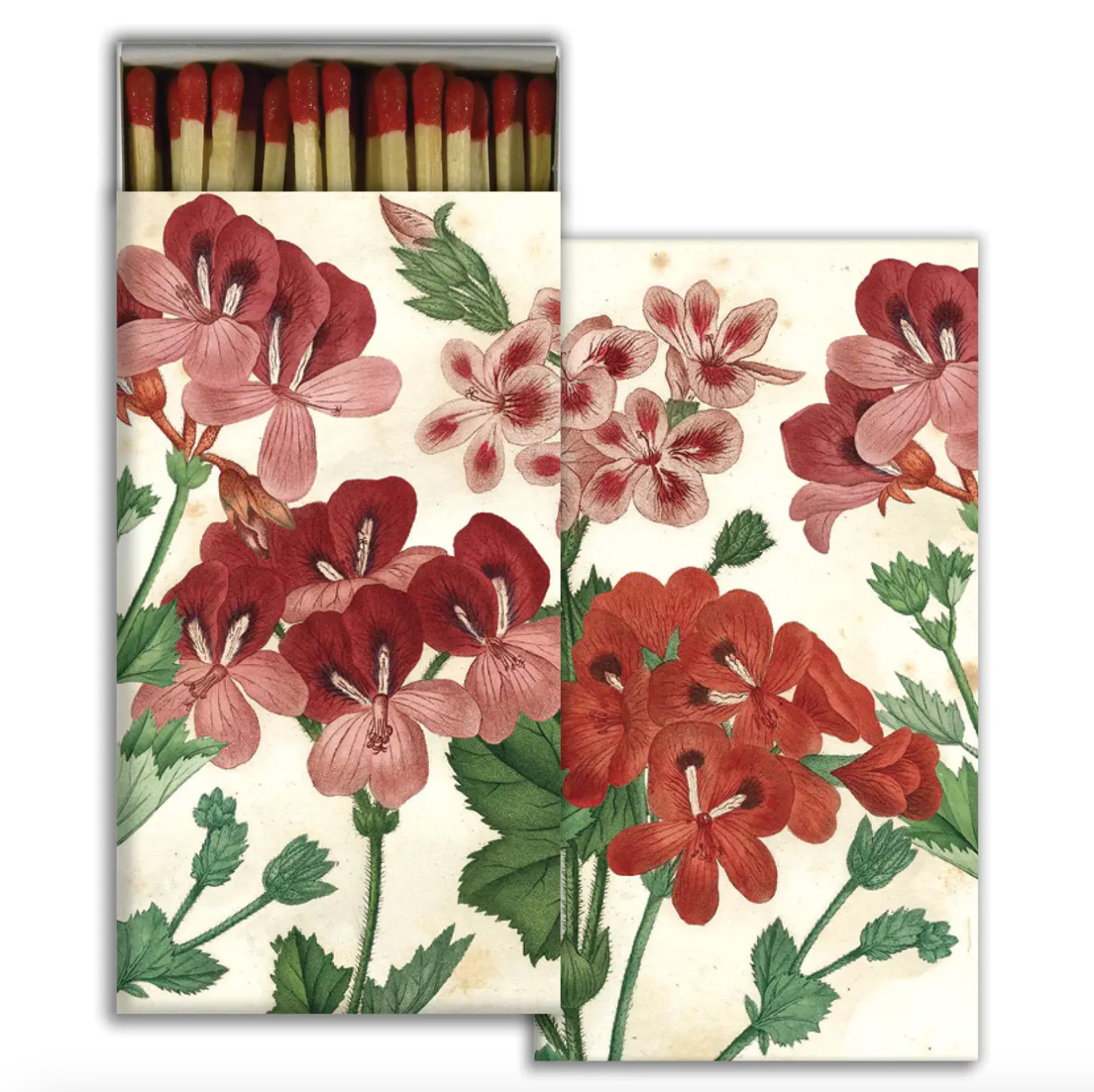 Geraniums - Safety Matches