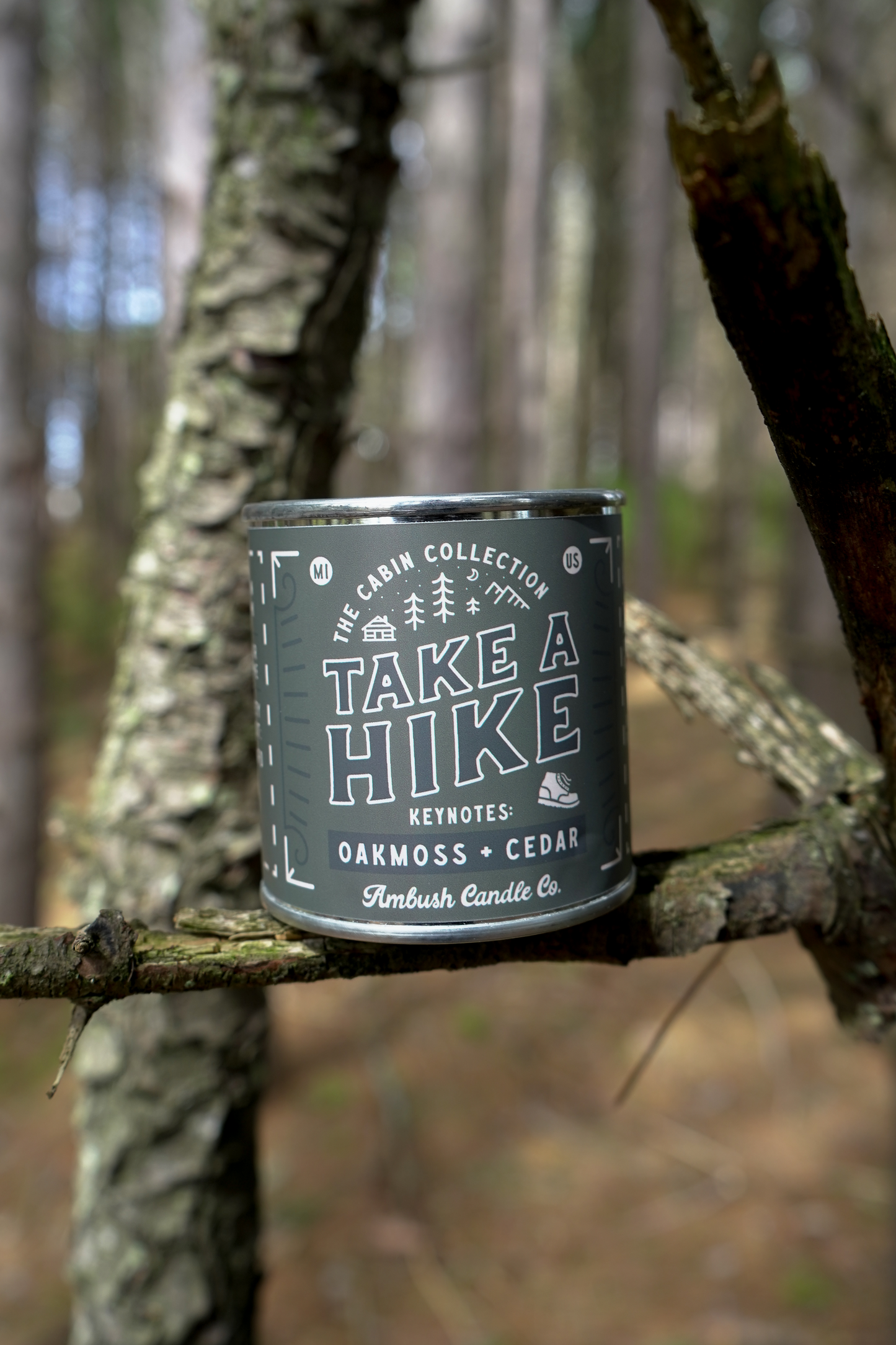 Take A Hike | Oakmoss + Cedar 8oz Soy Candle