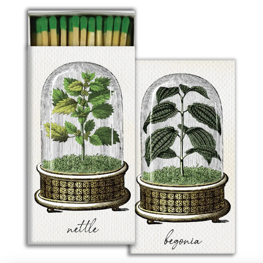 Cloche - Safety Matches