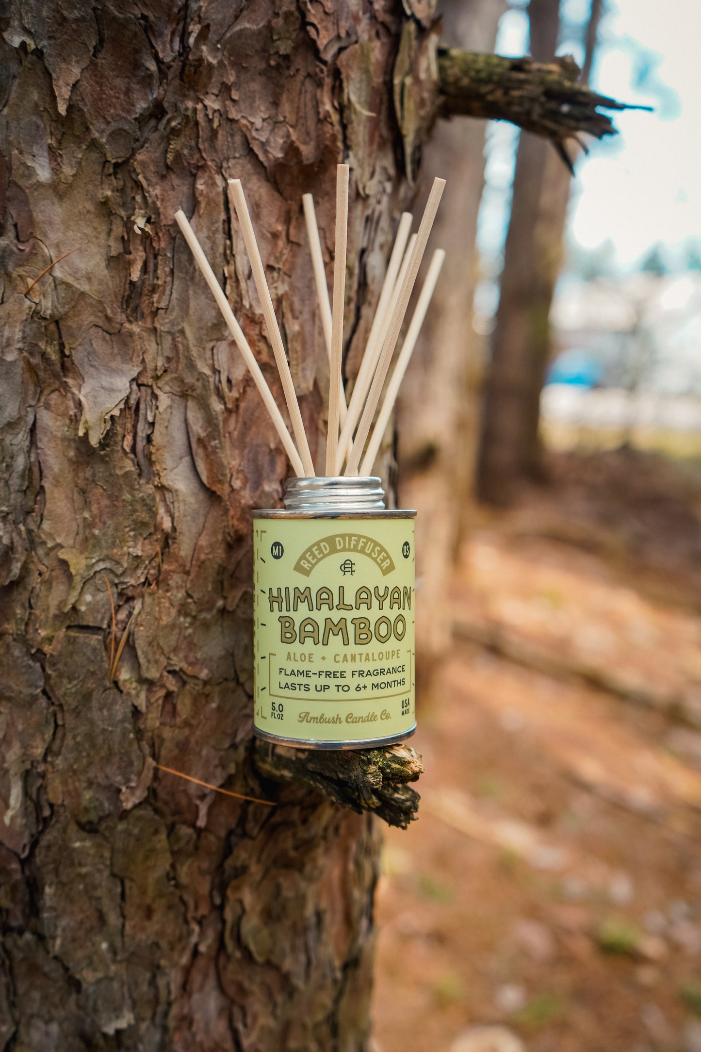Himalayan Bamboo | Aloe + Cantaloupe 5oz Reed Diffuser