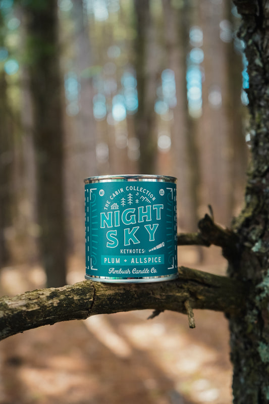 Night Sky | Plum + Allspice 8oz Soy Candle