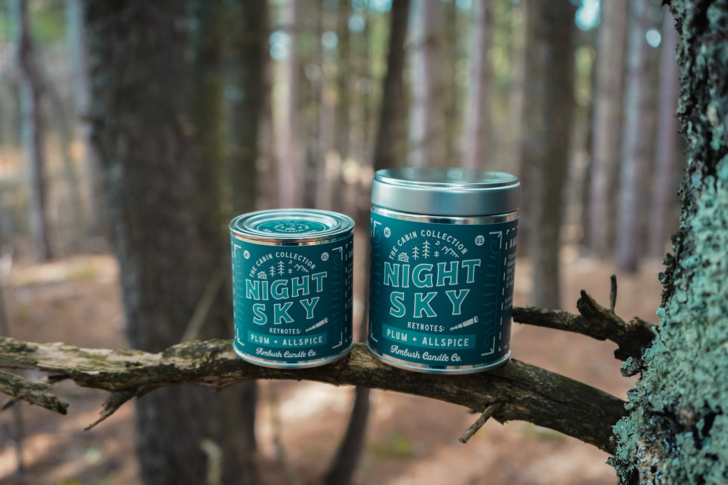 Night Sky | Plum + Allspice 14oz Soy Candle