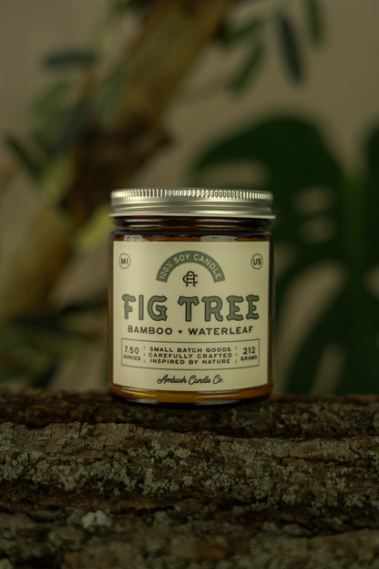 Fig Tree | Bamboo + Waterleaf Soy Candle