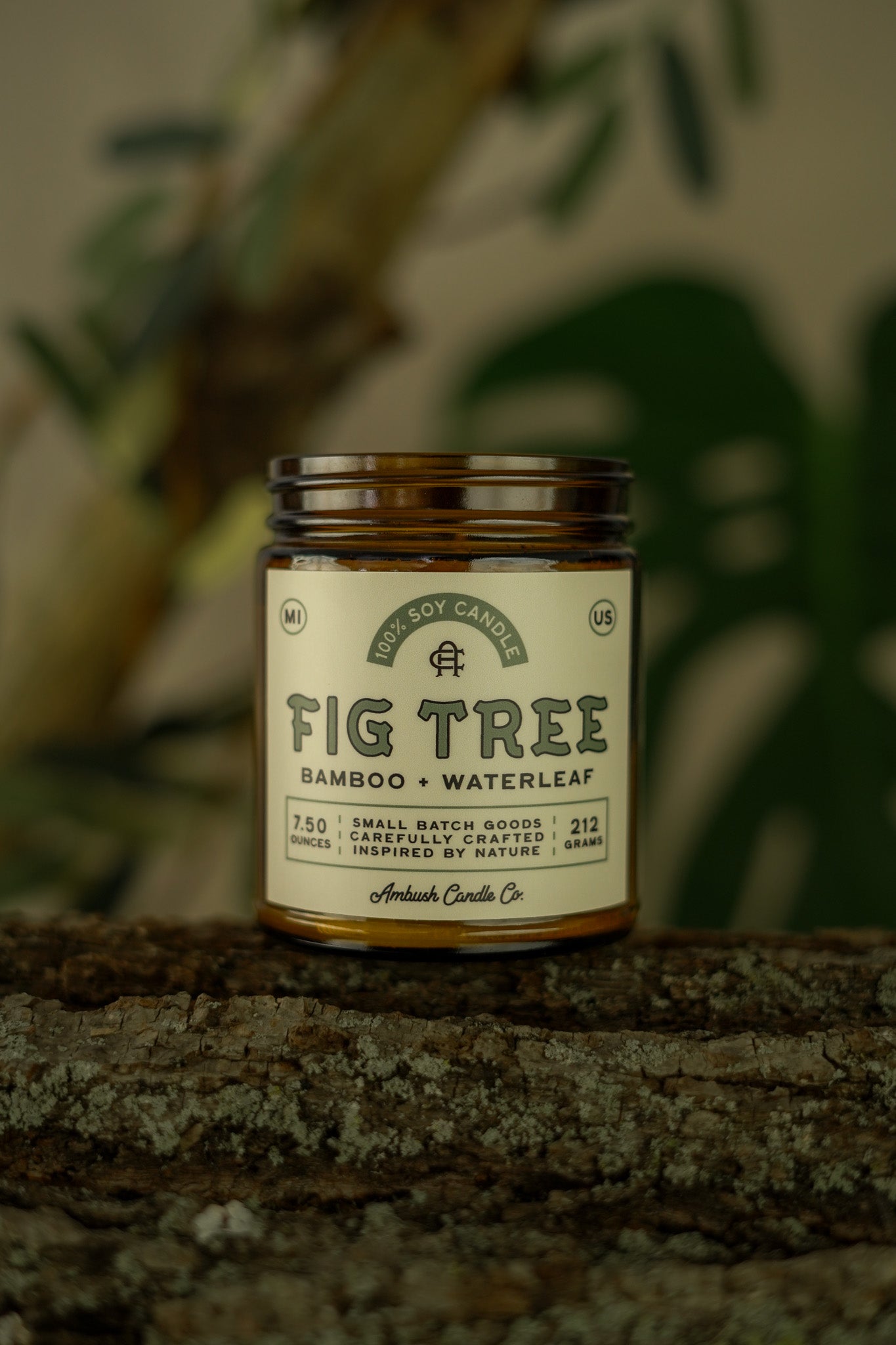 Fig Tree | Bamboo + Waterleaf Soy Candle