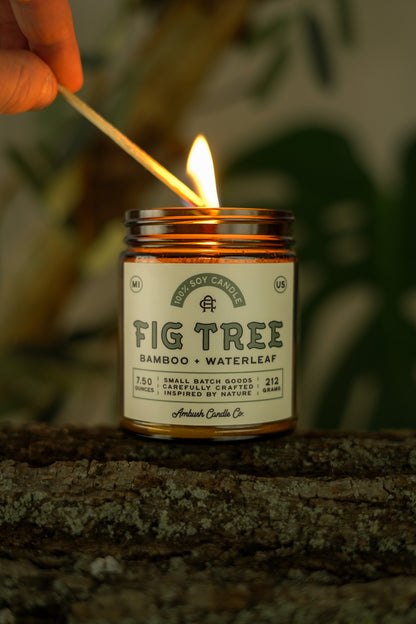 Fig Tree | Bamboo + Waterleaf Soy Candle