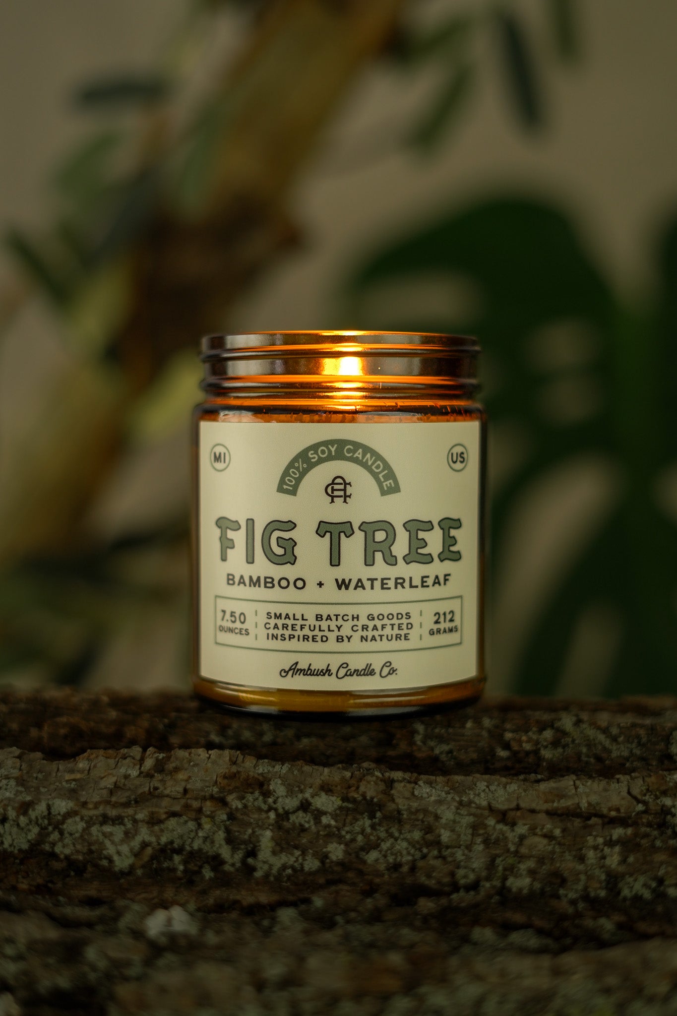 Fig Tree | Bamboo + Waterleaf Soy Candle