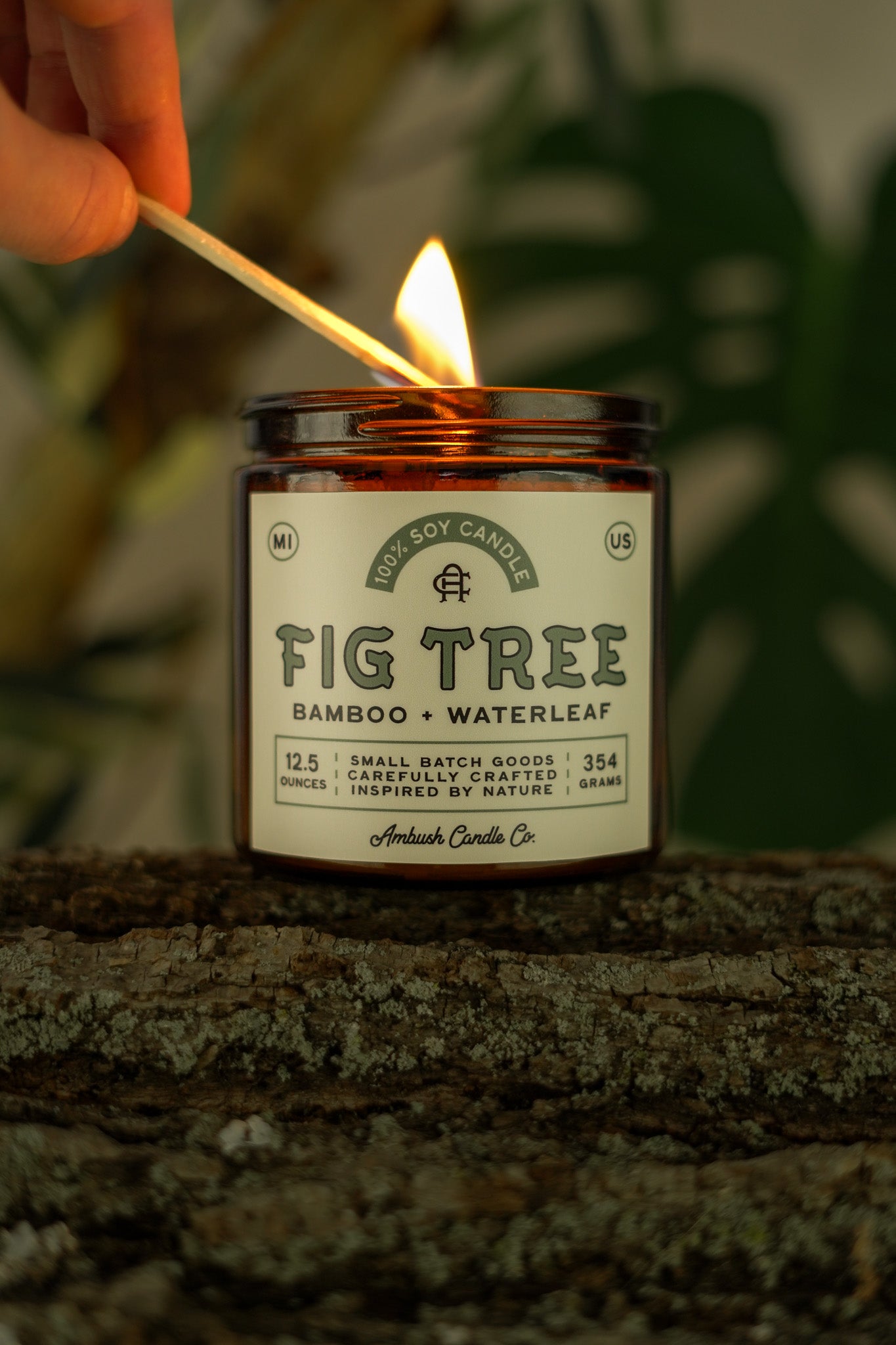 Fig Tree | Bamboo + Waterleaf Soy Candle