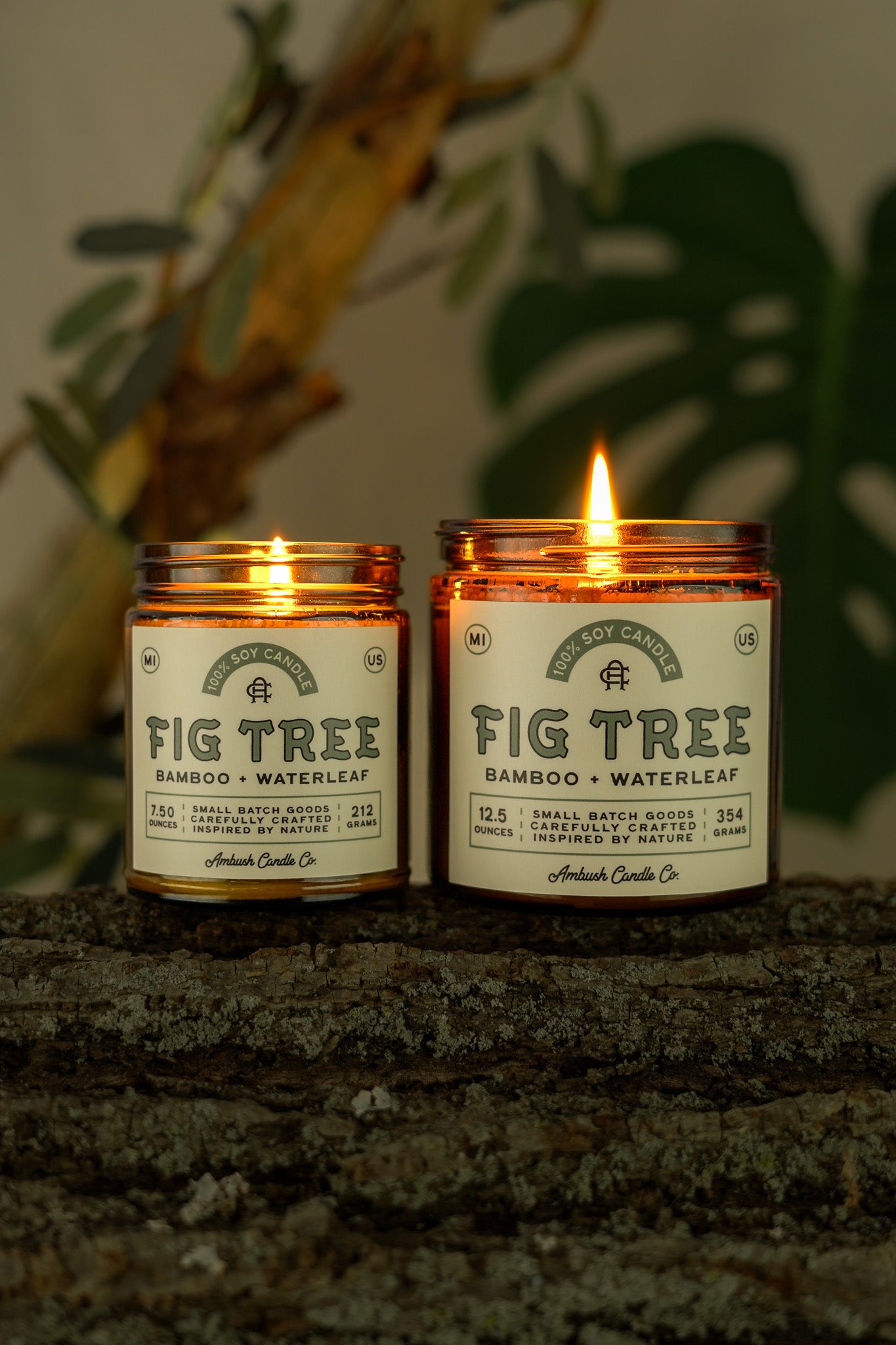 Fig Tree | Bamboo + Waterleaf Soy Candle