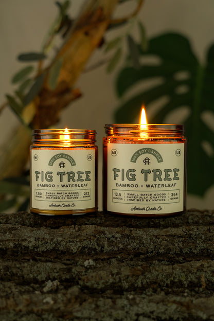 Fig Tree | Bamboo + Waterleaf Soy Candle