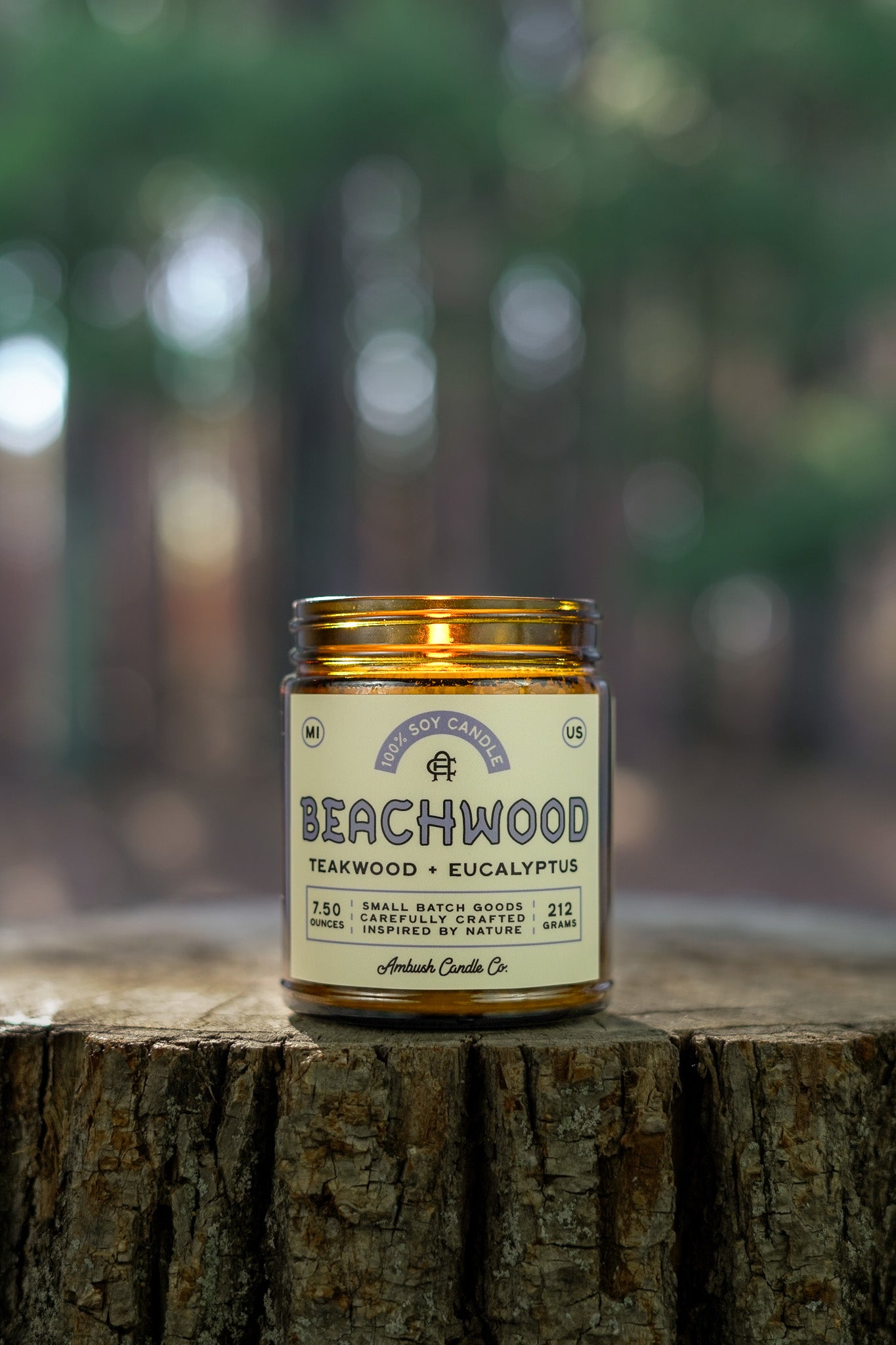 Beachwood | Teakwood + Eucalyptus Soy Candle