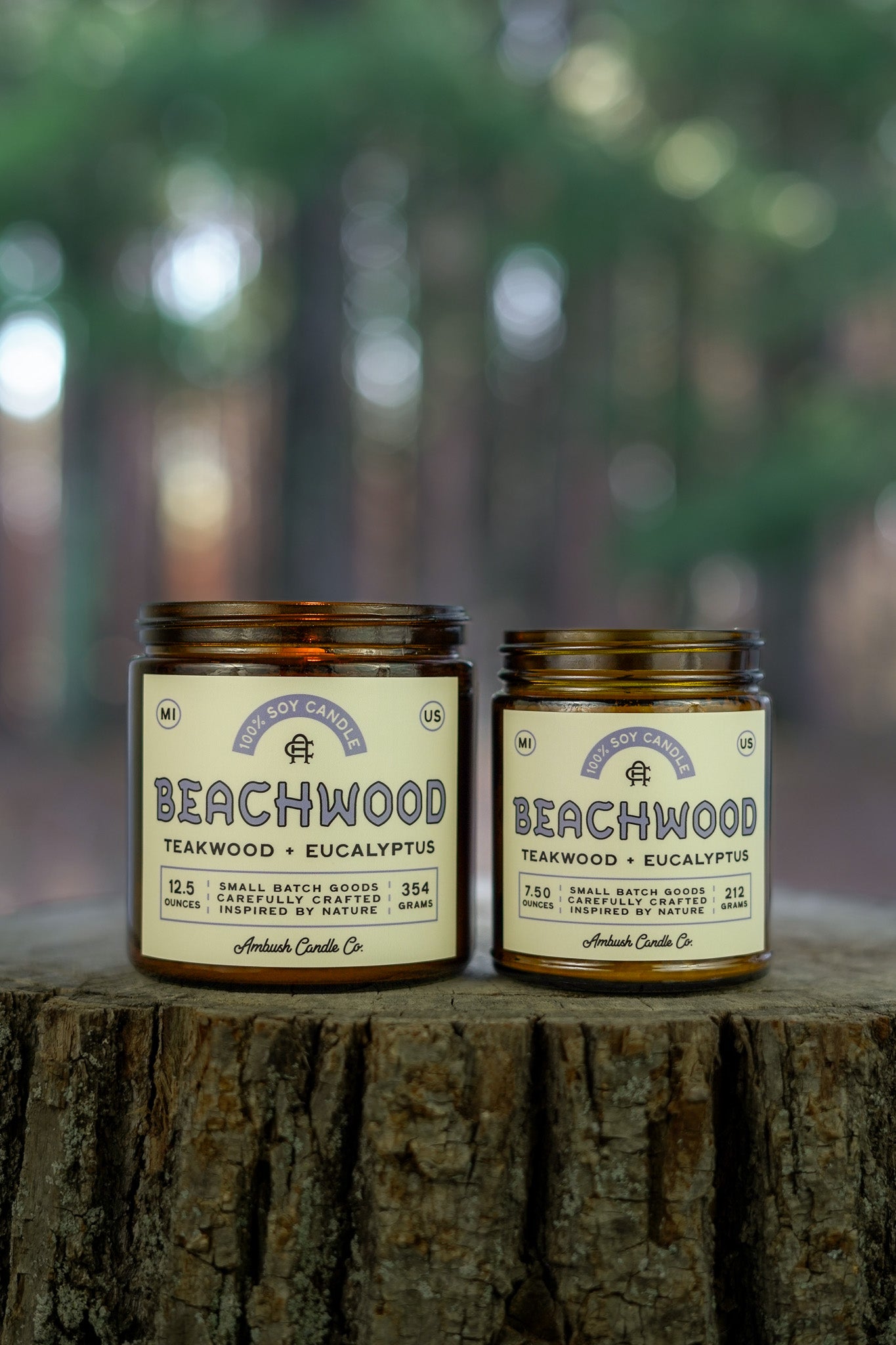 Beachwood | Teakwood + Eucalyptus Soy Candle