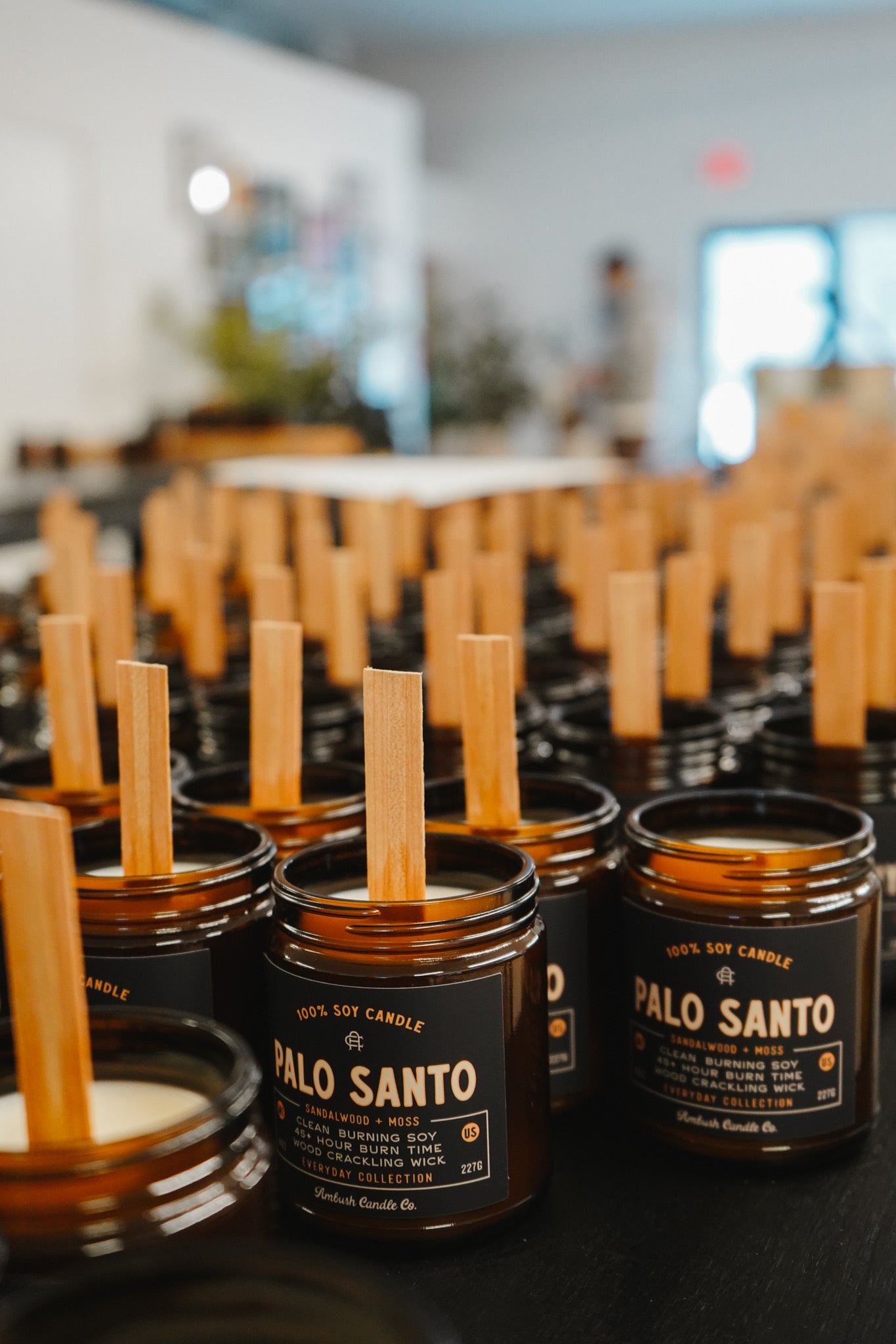 Palo Santo | Sandalwood + Moss 8oz Soy Candle