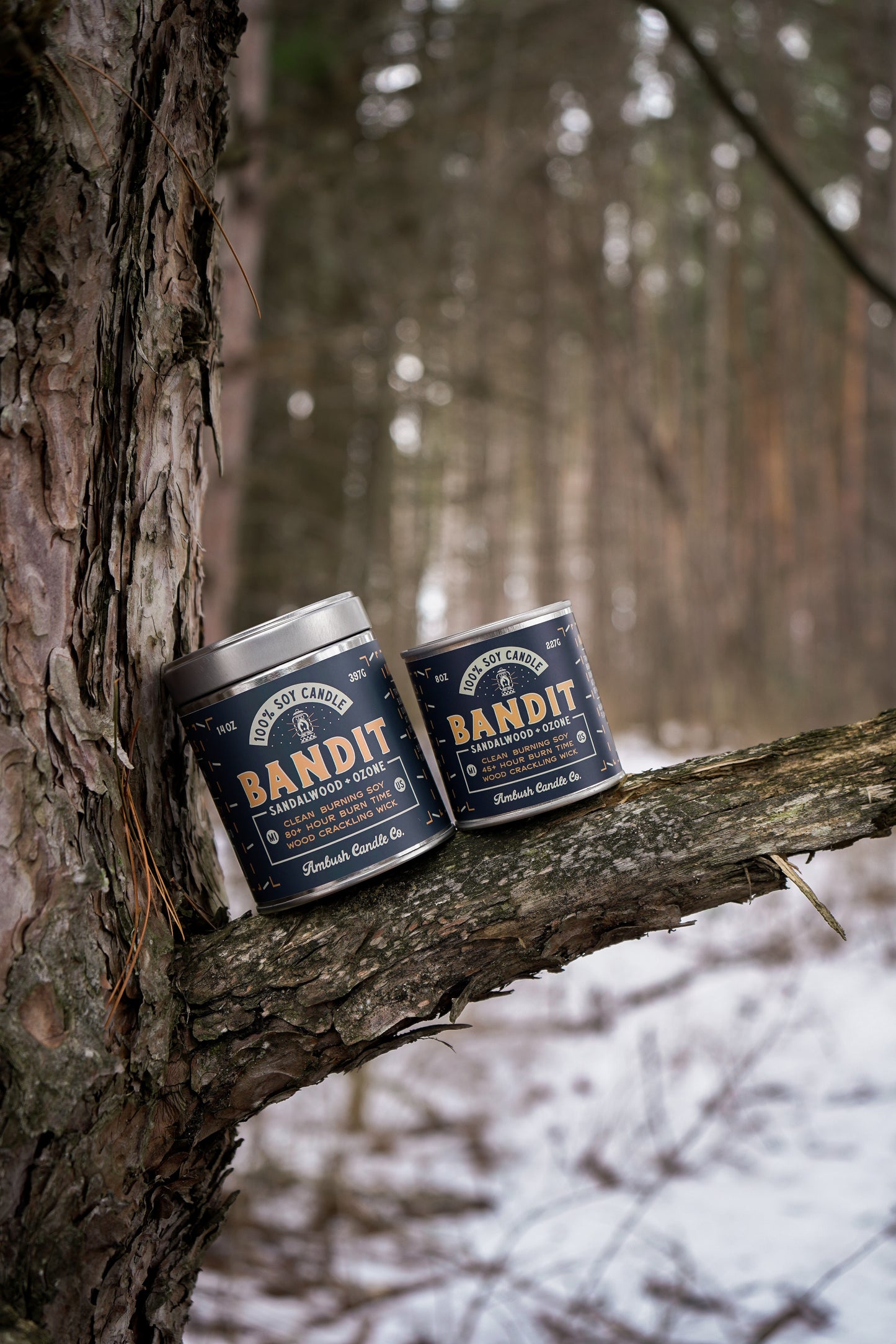 Bandit | Sandalwood + Ozone 8oz Soy Candle