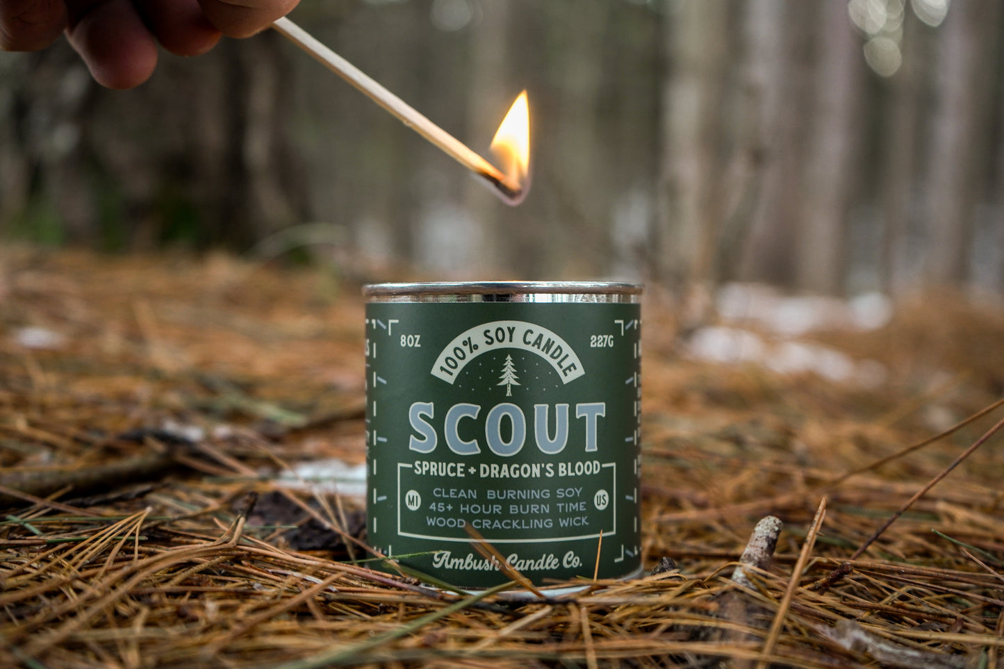 Scout | Spruce + Dragon's Blood 8oz Soy Candle