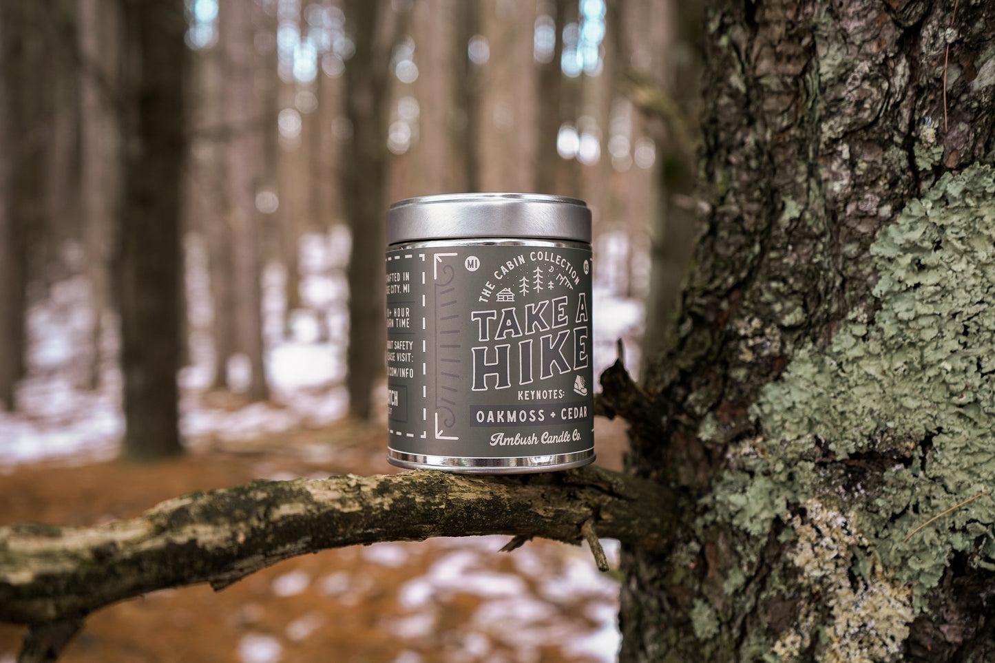 Take A Hike | Oakmoss + Cedar 14oz Soy Candle