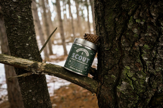 Scout | Spruce + Dragon's Blood 14oz Soy Candle