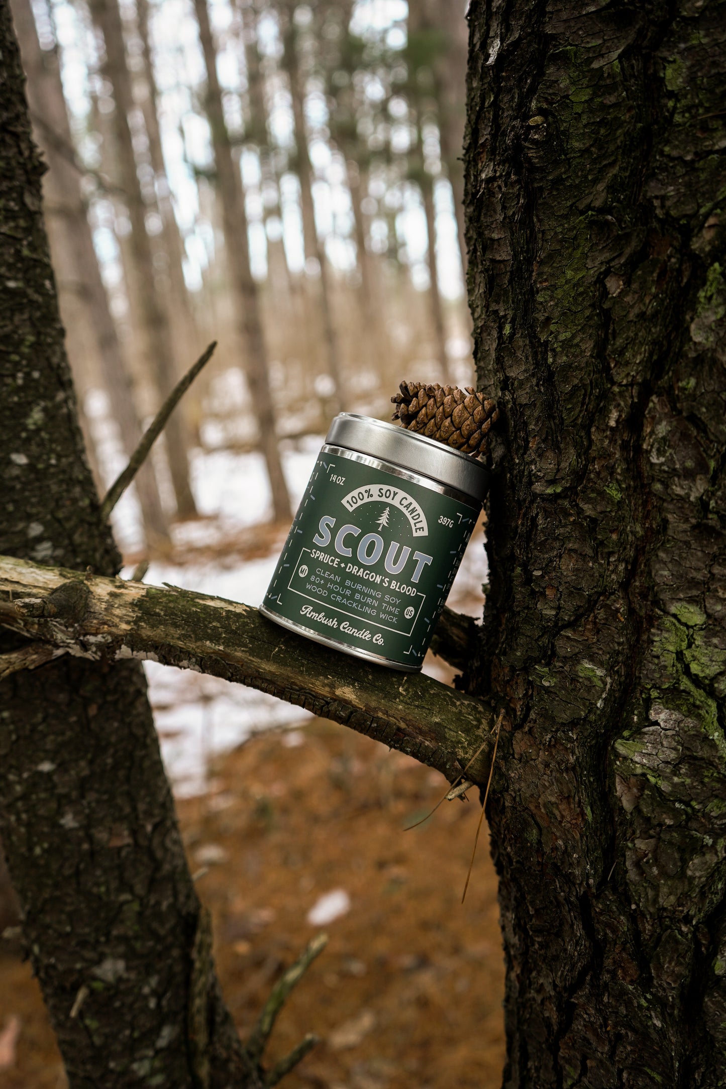Scout | Spruce + Dragon's Blood 14oz Soy Candle