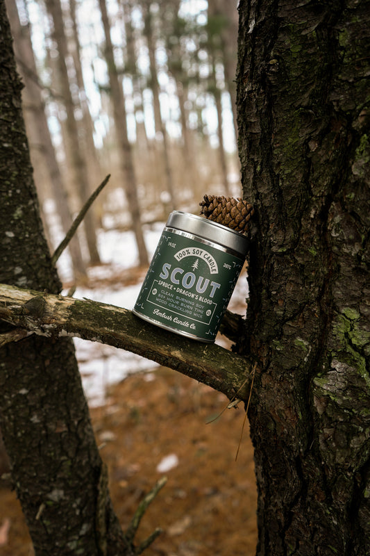 Scout | Spruce + Dragon's Blood 14oz Soy Candle