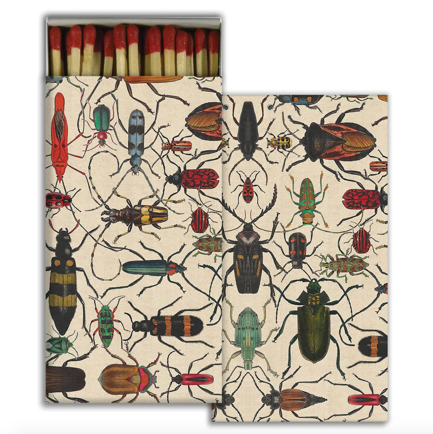 Mixed Beetles - Safety Matches