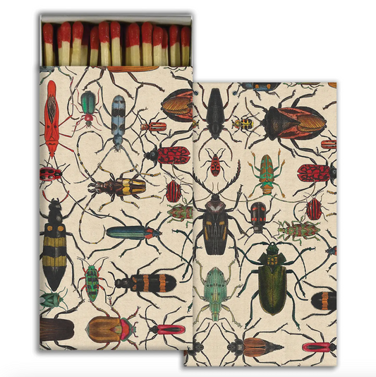 Mixed Beetles - Safety Matches