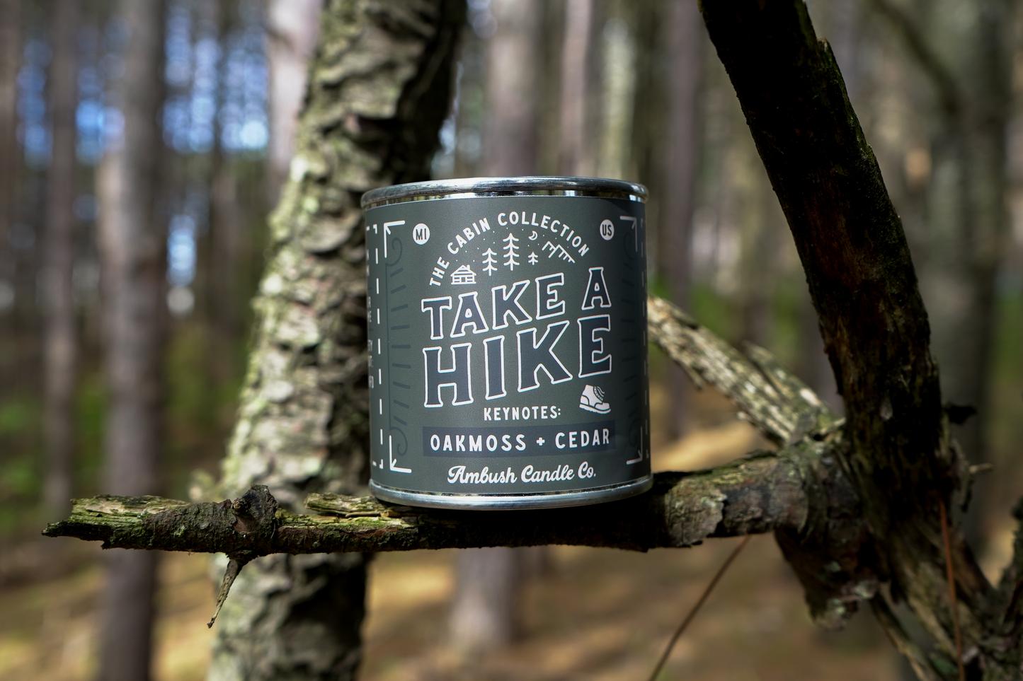Take A Hike | Oakmoss + Cedar 8oz Soy Candle
